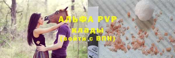 молекула духа Богородск