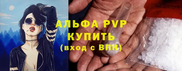 амф Богородицк