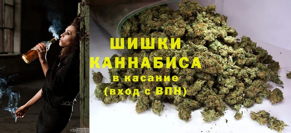 амф Богородицк