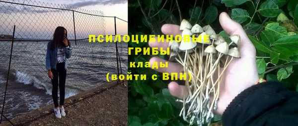 молекула духа Богородск