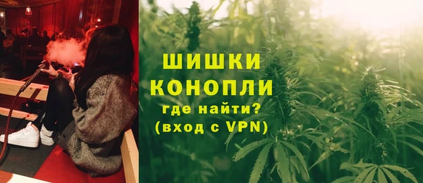 молекула духа Богородск