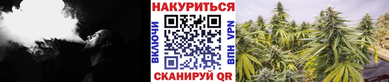 Шишки марихуана индика  что такое   Михайлов 